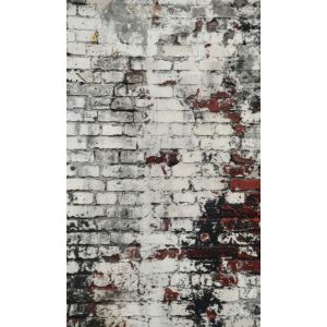 Fotobakgrund 160x265 cm gammalt vitt tegel