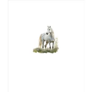 Jersey Takoy PANEL målade hästar vit 50x60